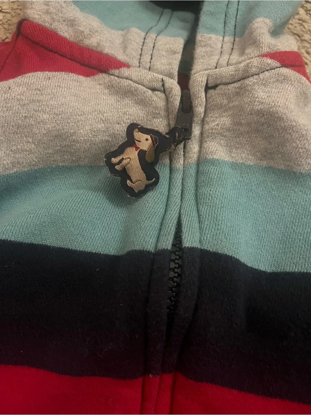 Gymboree Puppy Hoodie